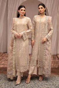 Embroidered Chiffon Salwar Kameez_ Pakistani Indian Wedding Outfit